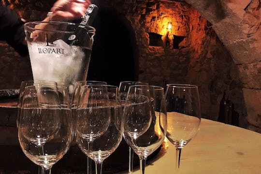 Familia Torres Winery Tour: Gastronomic & Wine Experience