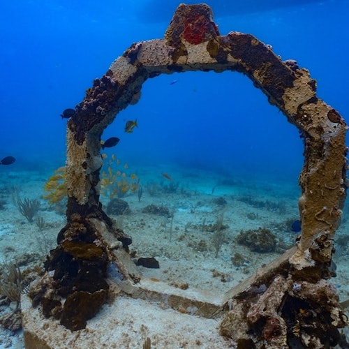 Museo Subacuático de Arte de Cancún y Arrecife de Coral Manchones: Excursión de snorkel