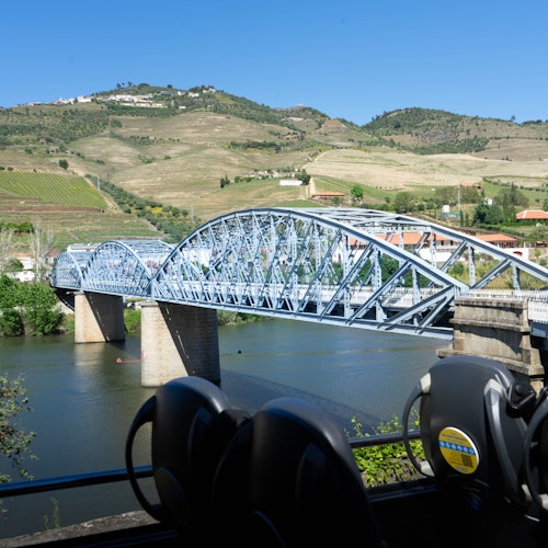 Douro Valley, Amarante & Régua: Day Trip + River Cruise & Wine Tasting