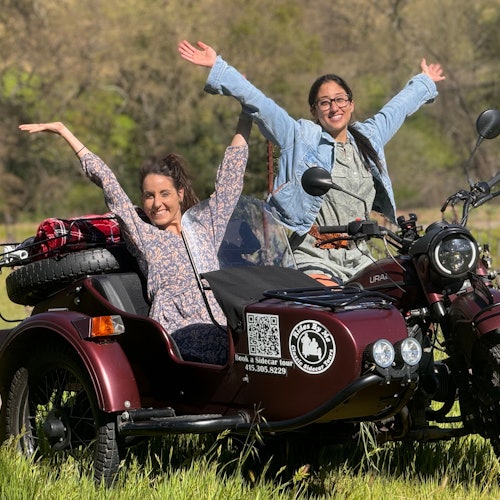 Valle de Napa: Excursión en sidecar