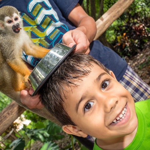 Monkeyland y Plantación: Visita guiada + Degustación + Traslado de ida y vuelta