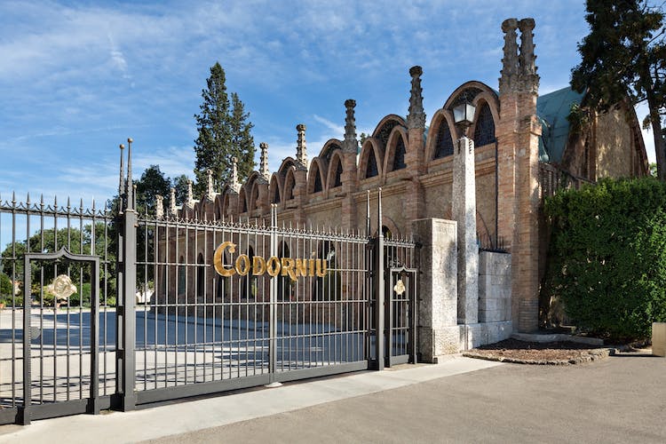 Casa Codorníu guided tour with 2 cava tasting and lunch