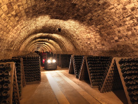 Visita guiada Casa Codorníu con 3 catas de cava, aperitivo y comida