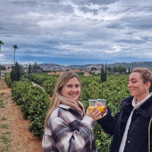 Desde Valencia: Visita guiada al huerto de naranjos Huerto Ribera con degustación