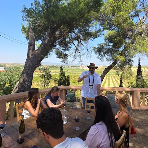 Viñedos de Utiel-Requena: Visita guiada desde Valencia con cata de vinos