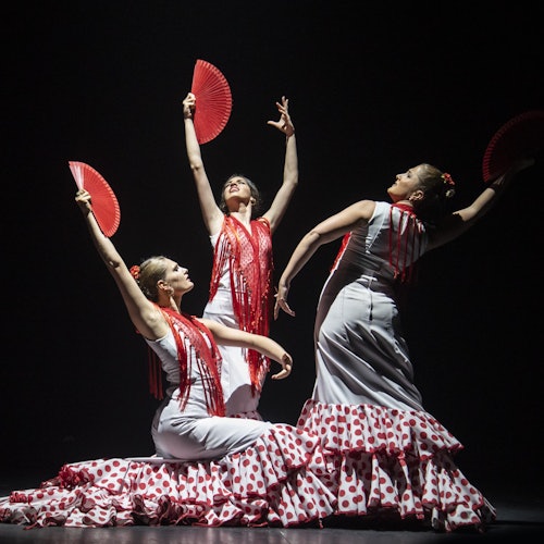 Espectáculo en vivo en el Teatro Flamenco de Barcelona 