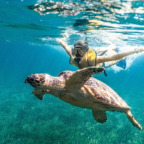 Cancún: Excursión de snorkel 5 en 1