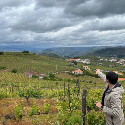 Douro Valley: Wine Tour + Lunch from Porto