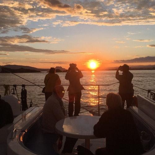 Valencia: Crucero en catamarán al atardecer