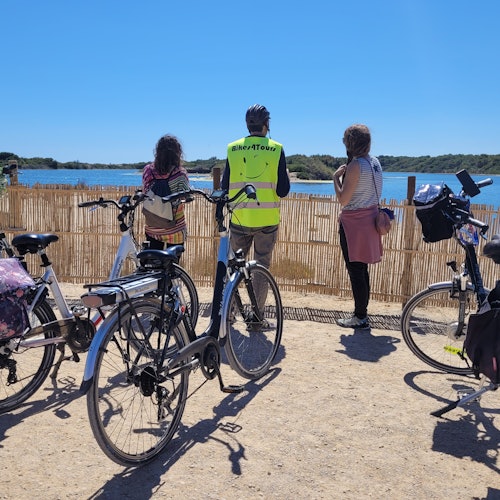Valencia: Visita guiada de medio día en bicicleta