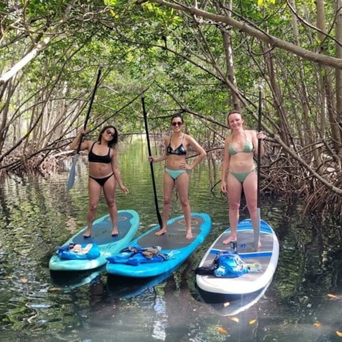 Miami: Exploración de la Naturaleza y las Islas en SUP/Kayak