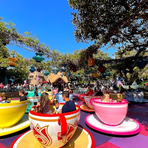 Disneyland® California: Entrada de 1 día + Transporte desde Los Ángeles