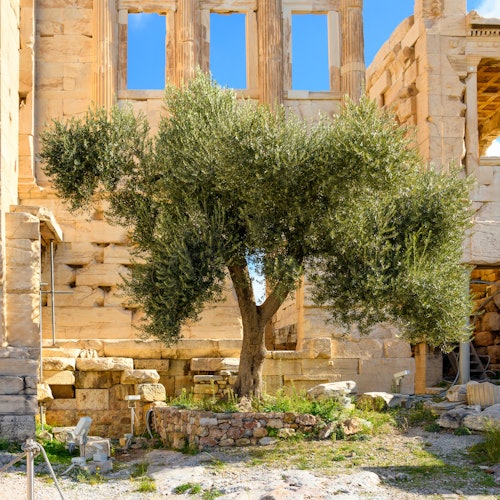 Acrópolis de Atenas y Museo de la Acrópolis: Tour guiado privado