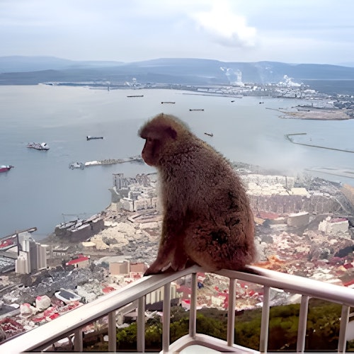 Gibraltar: Visita turística de un día desde Sevilla