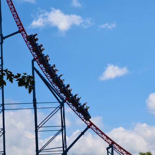 Slide 8