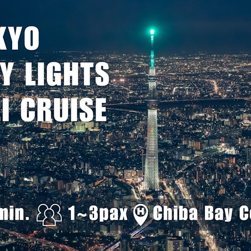 Tokio: Excursión nocturna en helicóptero de 33 minutos