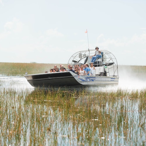 Fort Lauderdale: Excursión privada de 1 hora en hidrodeslizador por los Everglades