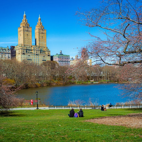 New York: 30+ Top Sights Guided Walking Tour + Snacks