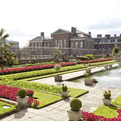 London: Westminster Guided Walking Tour + Kensington Palace Entry