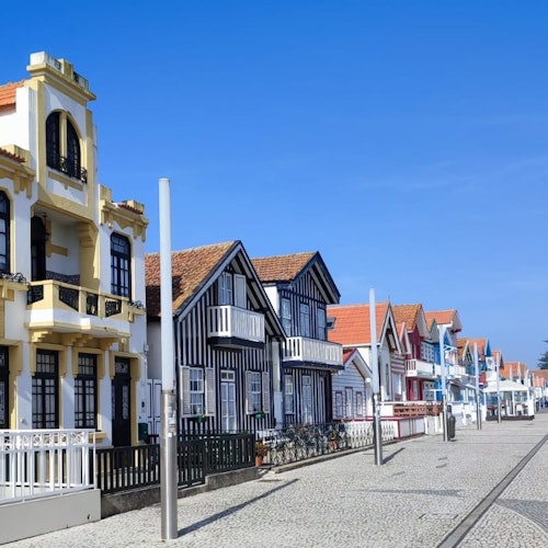 Aveiro: Half-Day Guided Tour from Porto + Boat Cruise + Pastry & Wine Tasting