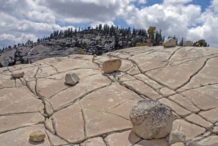 Excursión de 2 días con pernoctación en el Yosemite View Lodge