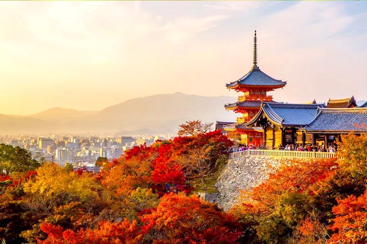 Slide 7