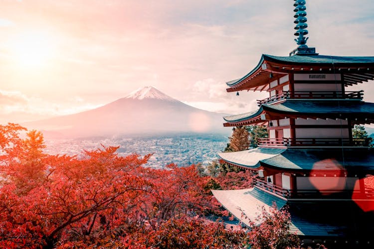 Tour to Mt. Fuji Area, Oshino Hakkai and Kawaguchi Lake from Tokyo