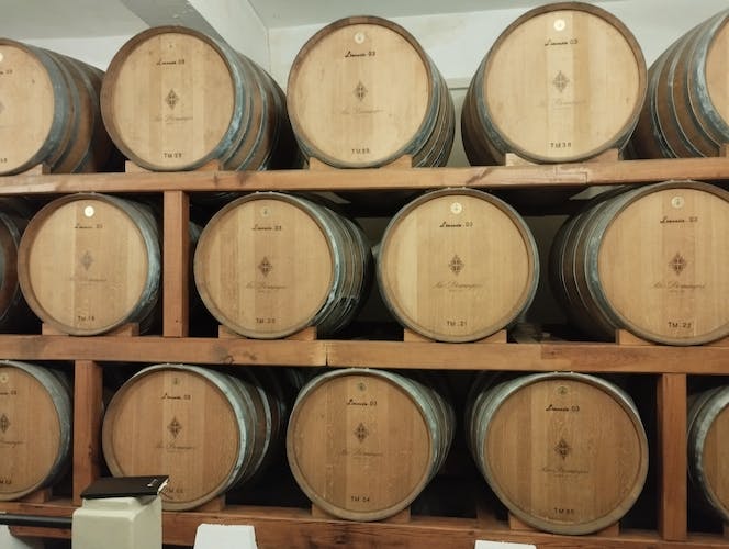 Private Bairrada Wine Tour from Porto with Tasting and Lunch