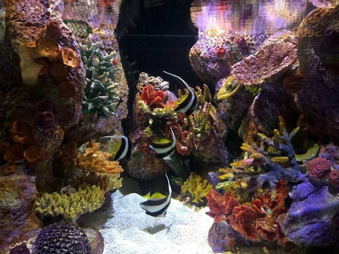 Entrada al Acuario Interactivo del Centro Comercial La Isla