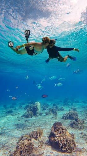 Safari marino en Cozumel con snorkel en El Cielo