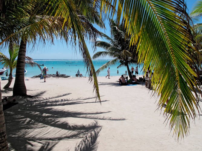 Turtle Snorkelling, Cenote Swim & Beach Club Experience