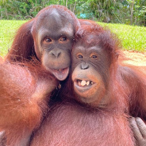 Zoo Miami General Admission Ticket