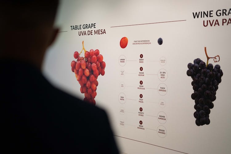 Taylor’s Cellar self-guided tour with Wine Museum experience