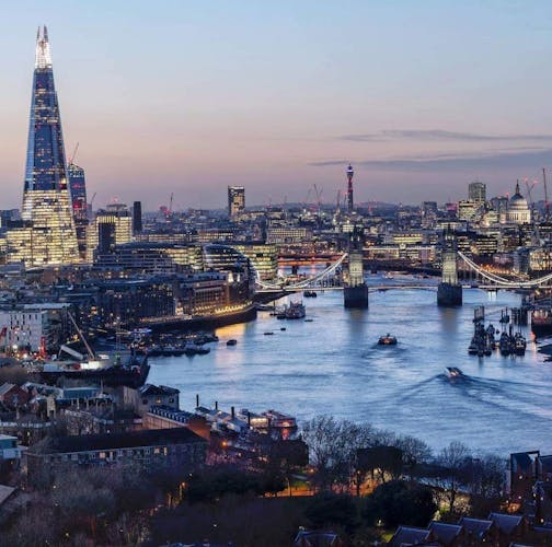 The Shard Viewing Gallery and Westminster Private Tour