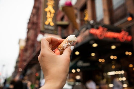 New York Lower East Side, Chinatown and Little Italy food tour