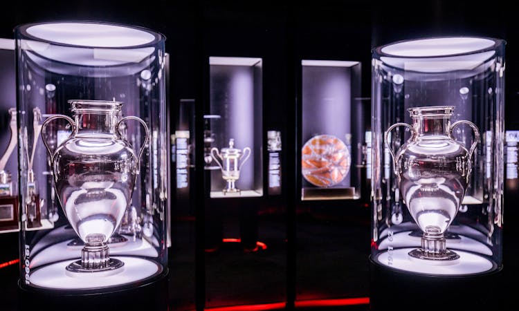 SL Benfica Stadium and Cosme Damião Museum tour with light meal