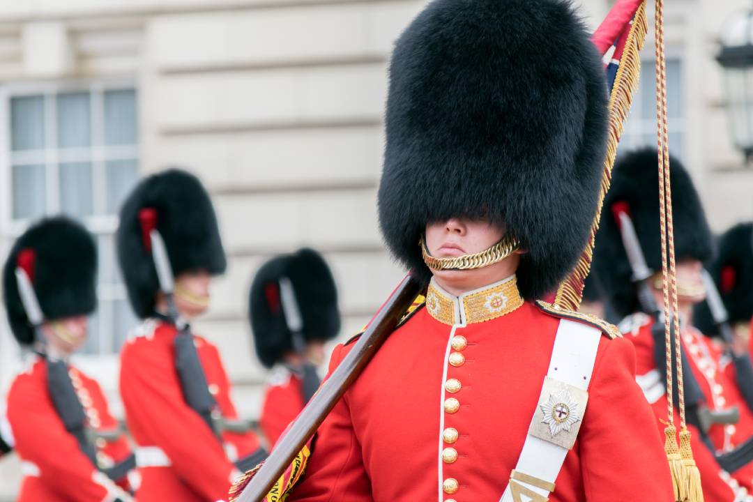 London Top Sights Tour med billetter
