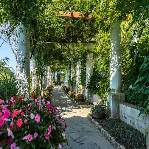 Capri Island shared tour with ferry from Naples
