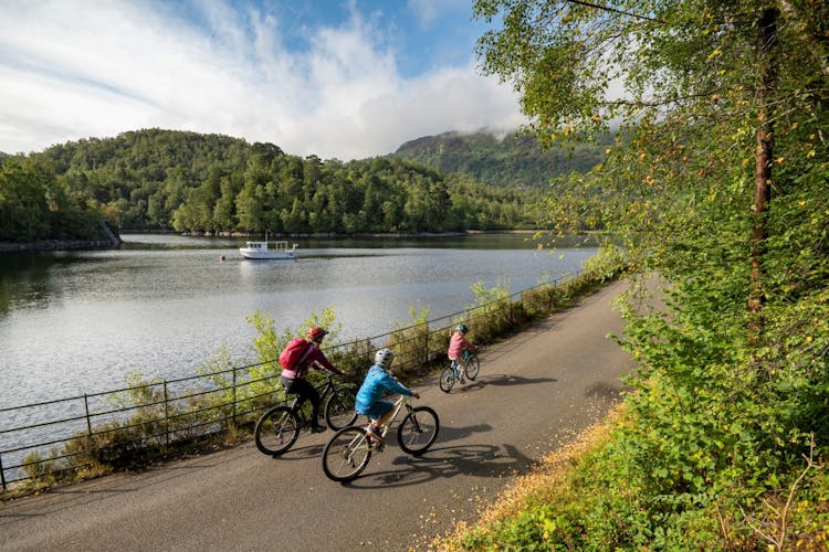 Excursión a los Bonnie Lochs y al whisky Bold desde Edimburgo