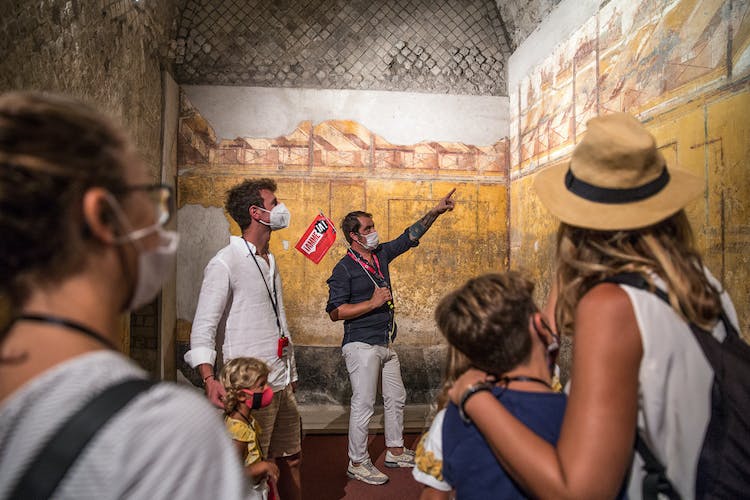 Visita guiada sin colas a Pompeya y el Vesubio desde Sorrento