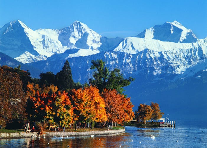 Excursión de un día en autobús al Oberland Bernés e Interlaken desde Zúrich