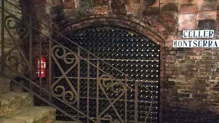 Tour privado de vino y cava en el Penedés