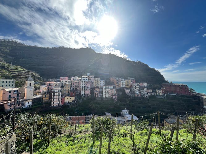 Cinque Terre Tour with Local Guide and Transportation