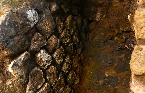 Rzym: szybkie zwiedzanie Fontanny di Trevi & podziemi