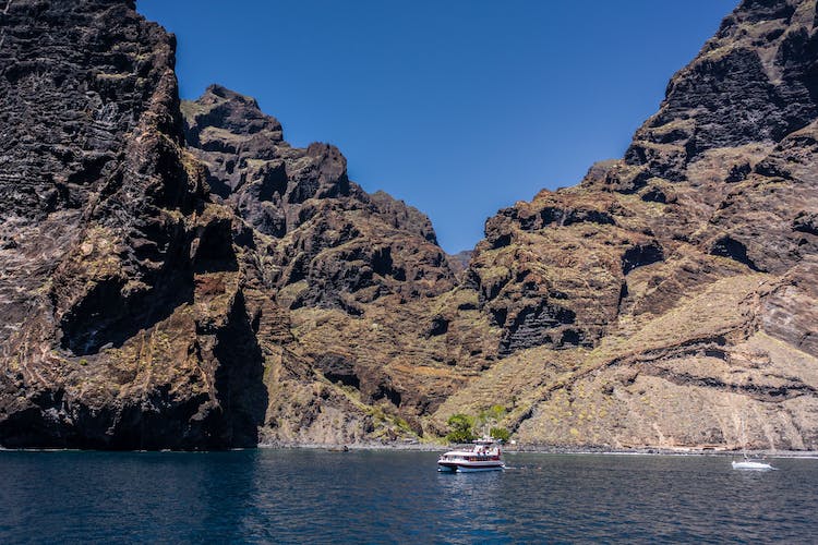 Crucero de dos horas Royal Delfín para avistamiento de ballenas y delfines