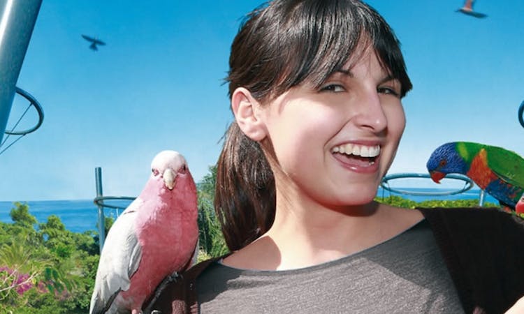 Entradas para Loro Parque en Tenerife