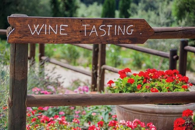Dagstur till Brunello di Montalcino fran Siena