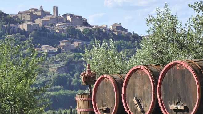 Escursione di un giorno dedicata al Brunello di Montalcino da Siena