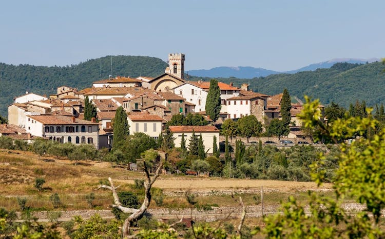 Excursión de medio día a la región vinícola de Chianti y su castillo desde Siena