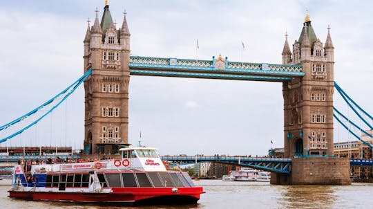 Private London Sightseeing Taxi Tour & Thames River Cruise